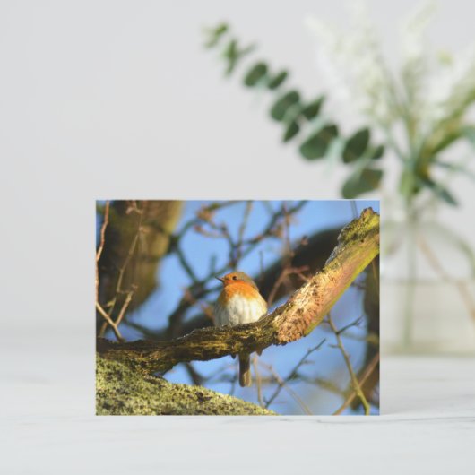 Ein Robin im alten Eichenbaum Postkarte (Stehend Vorderseite)