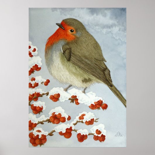 Ein Robin und Beeren im Schnee Poster (Vorne)