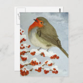 Ein Robin und Beeren im Schnee Postkarte (Vorne/Hinten)