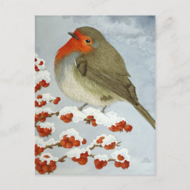 Ein Robin und Beeren im Schnee Postkarte