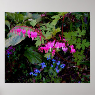 Ein romantisches Blumen-Plakat Poster