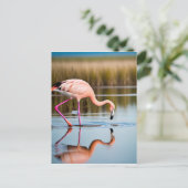 Ein rosa Flamingo, das seine Reflexion im Wasser s Postkarte (Stehend Vorderseite)