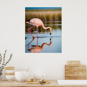Ein rosa Flamingo sieht sein Spiegelbild im Wasser Poster