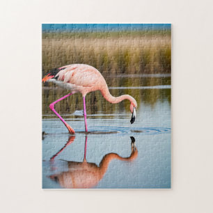 Ein rosa Flamingo sieht sein Spiegelbild im Wasser Puzzle