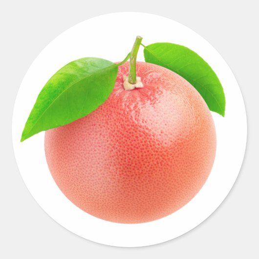 Ein rosa Grapefruit Runder Aufkleber (Vorderseite)