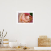 Ein rosa Rosenplakat surfen Poster (Küche)