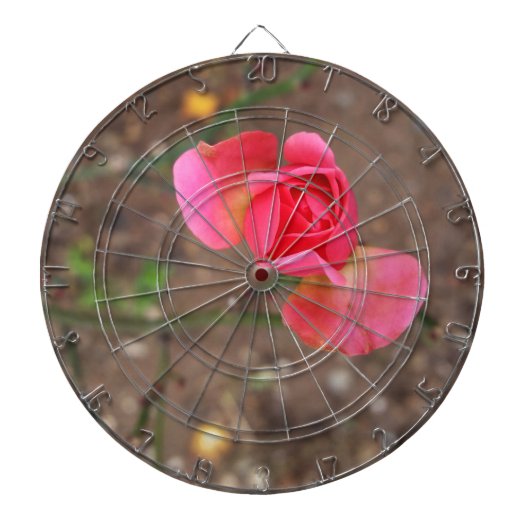 Ein Rosebud im November Dartscheibe (vorne)