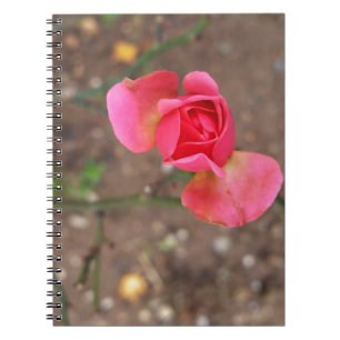 Ein Rosebud im November Notizblock