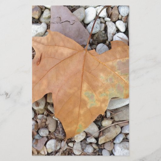 ein rostiges Kies-Blatt Briefpapier (Vorderseite)
