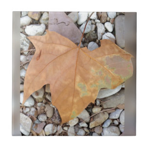 ein rostiges Kies-Blatt Fliese