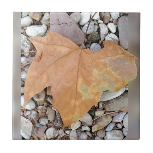 ein rostiges Kies-Blatt Fliese (Vorderseite)