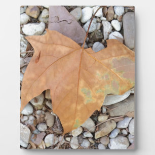 ein rostiges Kies-Blatt Fotoplatte