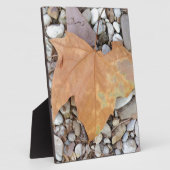 ein rostiges Kies-Blatt Fotoplatte (Seite)