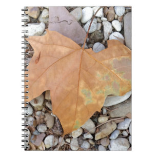 ein rostiges Kies-Blatt Notizblock