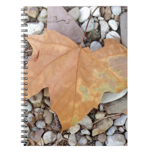 ein rostiges Kies-Blatt Notizblock (Vorderseite)