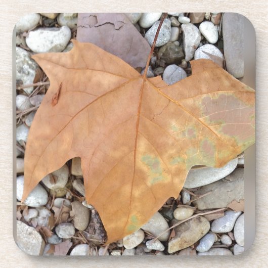 ein rostiges Kies-Blatt Untersetzer (Vorderseite)