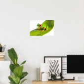 Ein Rotaugen-Laubfrosch Poster (Heimbüro)