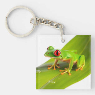 Ein Rotaugen-Laubfrosch Schlüsselanhänger
