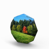 Ein Roter Baum Fotoblock (Rechts)