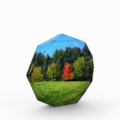 Ein Roter Baum Fotoblock (Links)