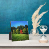 Ein Roter Baum Fotoplatte (InSitu)