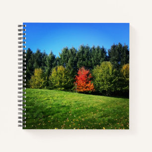 Ein Roter Baum Notizblock