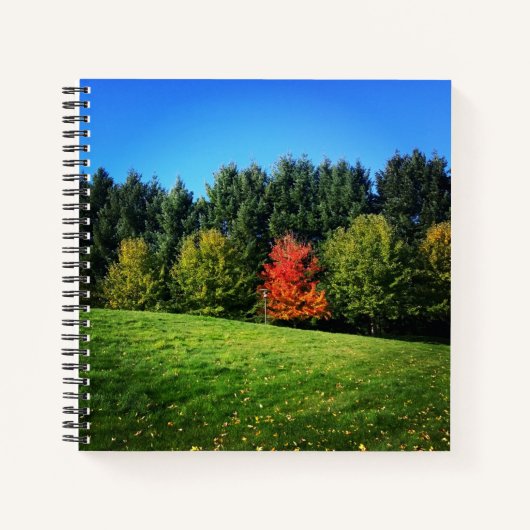 Ein Roter Baum Notizblock (Vorderseite)