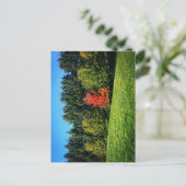 Ein Roter Baum Postkarte (Stehend Vorderseite)