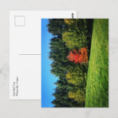 Ein Roter Baum Postkarte (Vorne/Hinten)