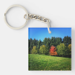 Ein Roter Baum Schlüsselanhänger