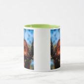 Ein roter Großaffe, der in einem Regenbaum gelockt Tasse (Zentrum)