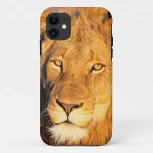 Ein roter Löwe mit Mähne, der in die Kamera schaut Case-Mate iPhone Hülle