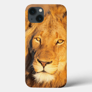 Ein roter Maned Löwe, der die Kamera betrachtet Case-Mate iPhone Hülle