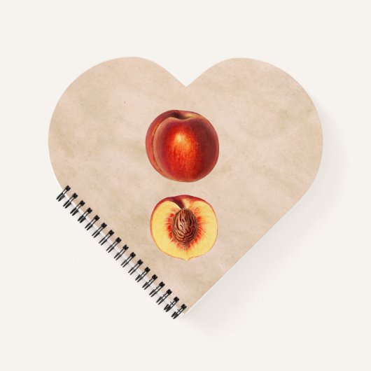 Ein roter Pfirsich und anderthalb Notizblock (Vorderseite)