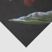 Ein roter Schwanz auf der Links schwarzen Seite, d Seidenpapier (Detail)