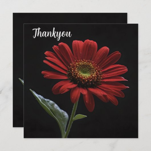 ein roter Schwanz auf schwarz Links Seite, Dankeskarte (Vorne/Hinten)