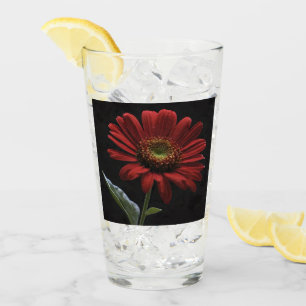 ein roter Schwanz auf schwarz Links Seite, Glas