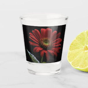 ein roter Schwanz auf schwarz Links Seite, Schnapsglas