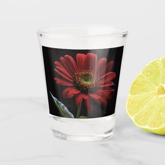 ein roter Schwanz auf schwarz Links Seite, Schnapsglas (Vorderseite)
