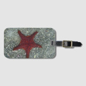Ein roter Starfish | Galapagos, Equador Gepäckanhänger (Vorderseite (Horizontal))