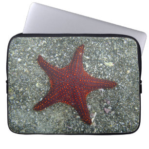Ein roter Starfish Galapagos, Equador Laptopschutzhülle