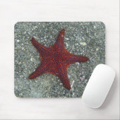 Ein roter Starfish | Galapagos, Equador Mousepad (Mit Mouse)