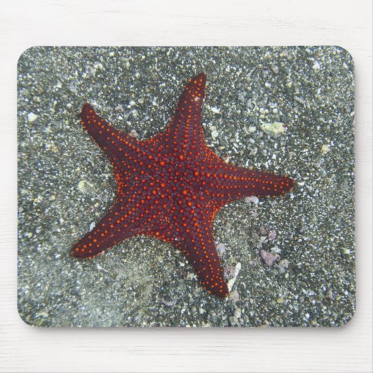 Ein roter Starfish | Galapagos, Equador Mousepad (Vorne)