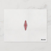 ein rotes und weißes Muster Postkarte (Rückseite)