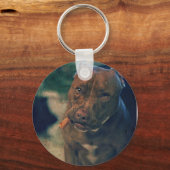 Ein Rotnasen-Pitbull kauen ein Zigar Schlüsselanhänger (Vorderseite)
