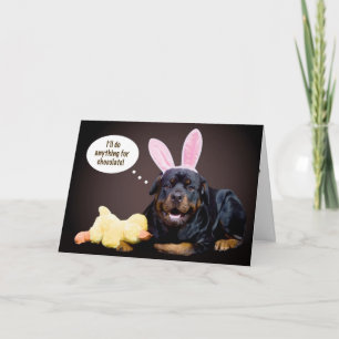 Ein Rottie Ostern Wunsch Feiertagskarte