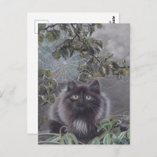 Ein ruhiger Ort - Kitten und Spiderweb Postcard Postkarte (Vorne/Hinten)