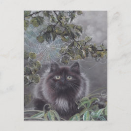 Ein ruhiger Ort - Kitten und Spiderweb Postcard Postkarte