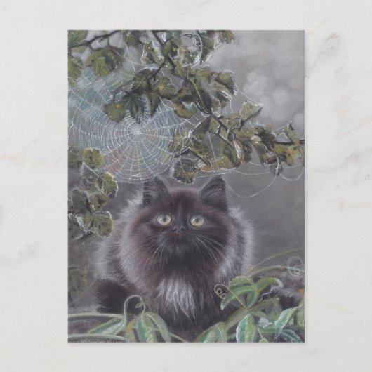 Ein ruhiger Ort - Kitten und Spiderweb Postcard Postkarte (Vorderseite)