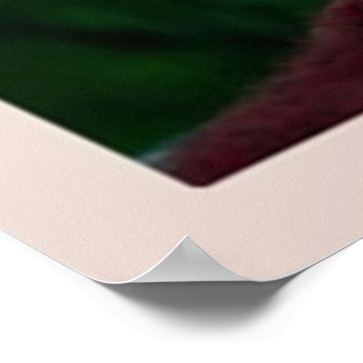 Ein ruhiger Ort Minimalistisch Poster (Ecke)